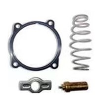 KITS DE REPARACIÓN DE TERMOSTATOS IVECO 504263917