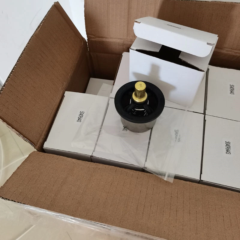 Termostatos IVECO 99431512 504096443 termostato de refrigerante de motor de coche